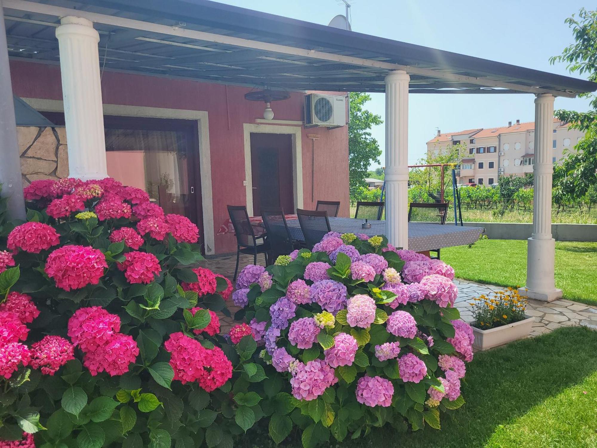 Apartments Dragica Porec Exterior photo